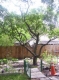 trees need climbing.