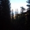 The view