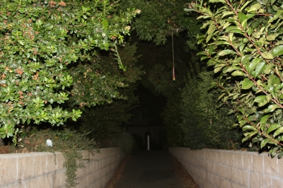 I hope it doesn't hit anyone in the head!!