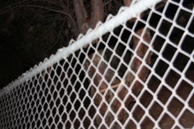 Can you find the Candle?