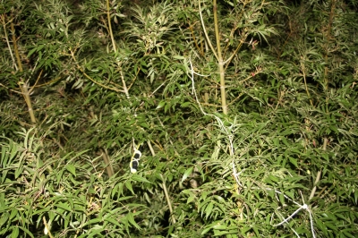 The pen that will never write again. :X