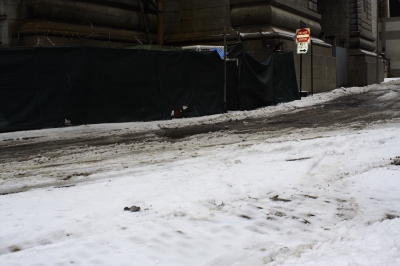 SF0_blind_0079.JPG