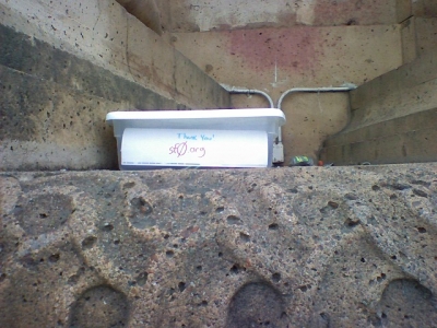 the New Box