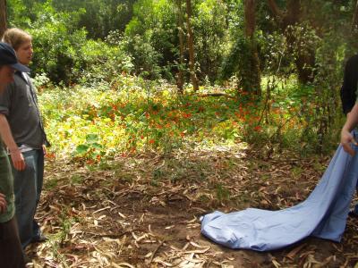 The Site is Chosen.JPG The Site is Chosen.JPG