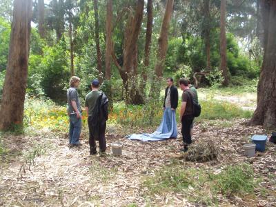 The Spreading of the Protecting Barrier.JPG The Spreading of the Protecting Barrier.JPG