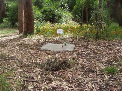 The Beginning of the Desert.JPG The Beginning of the Desert.JPG