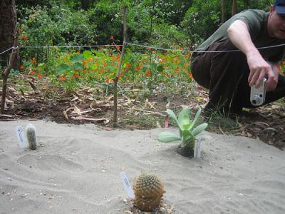 Documenting the Desert.jpg Documenting the Desert.jpg