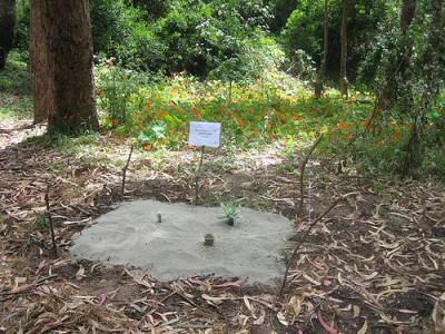 The Great Desert.jpg The Great Desert.jpg