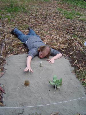 Orion Didn't Really Die.jpg Orion Didn't Really Die.jpg