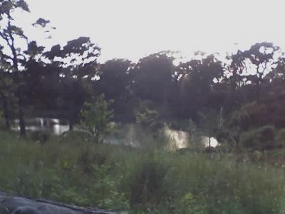 Silent Place