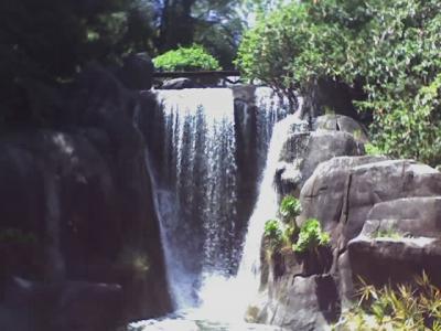Paddle Boat 6.jpg