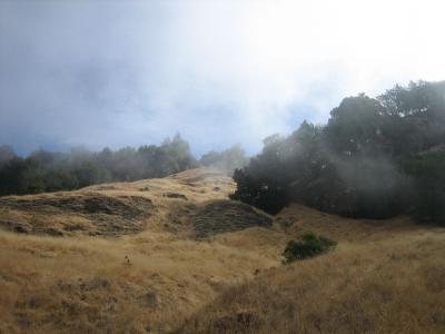 3 - Fog Burned Off.jpg