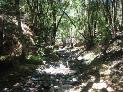 7 - Beautiful Creek.jpg