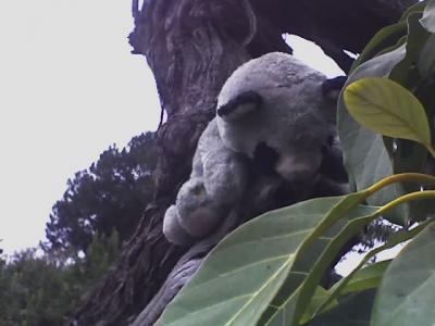 08-27-06_1410.jpg