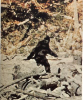 16 bigfoot.JPG