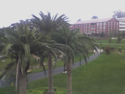 The View From My Office.