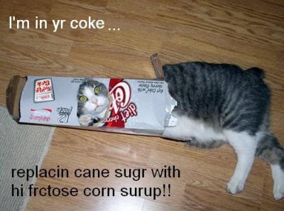Coke Kitty.JPG