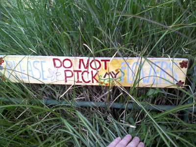 Don't Pick.jpg
