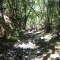 7 - Beautiful Creek.jpg