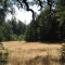 8 - Our Meadow.jpg
