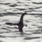18 loch ness.jpg 18 loch ness.jpg