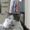 Cat Coke 3.JPG