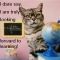 School cat.JPG