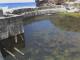 Tide Pool
