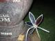 Pinwheel...