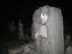 Beautiful grave
