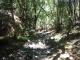7 - Beautiful Creek.jpg