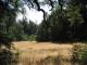 8 - Our Meadow.jpg