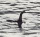 18 loch ness.jpg
