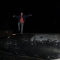 Killing Whale With Karate
