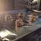 Space Bakery by ERB Space Bakery by ERB
