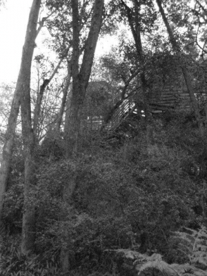 Heather's Black and White
