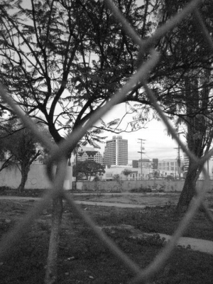 Heather Black and White.JPG