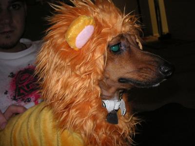 random october 058.jpg