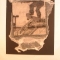 16961450.jpg