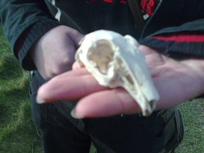 first piece of treasure!!