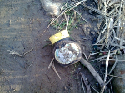 the elusive wild marmite, what a find!