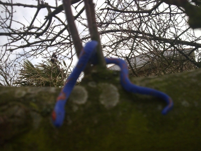 snakey number 2 snakey number 2