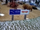 an isle of wight council sign and snow in the same pic