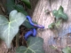 snakey number 4