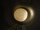 In the rice cooker