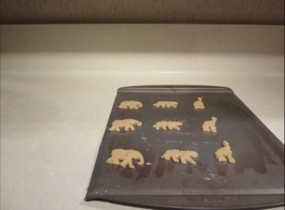 Proto-cookies transition to sheet