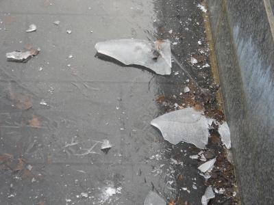 DSCN0079.JPG
