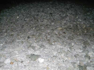 DSCN0123.JPG