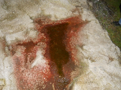 DSCN0128.JPG