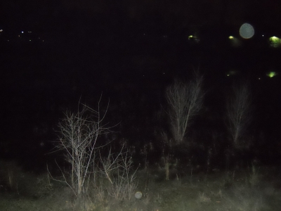 DSCN0133.JPG